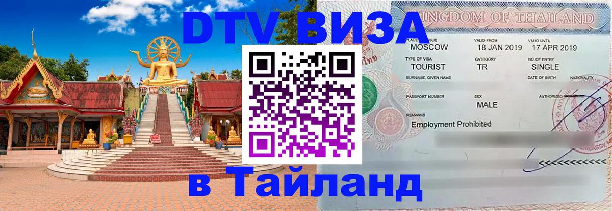 Сколько стоит DTV виза — актуальные цены, оформление даже без документов - 08.01.2026 